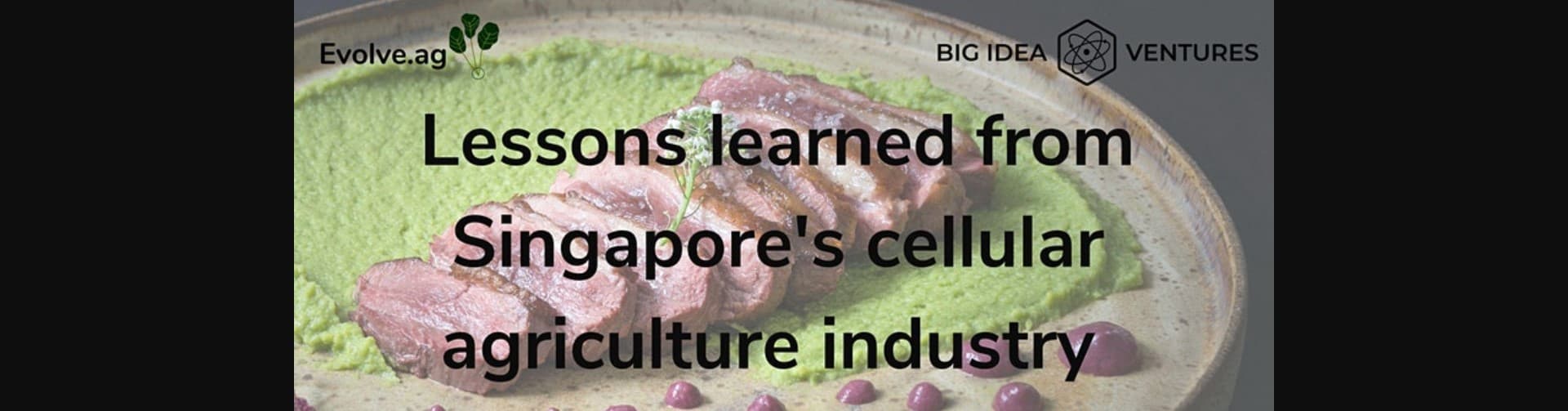 Lessons learned from Singapore's cellular agriculture industry