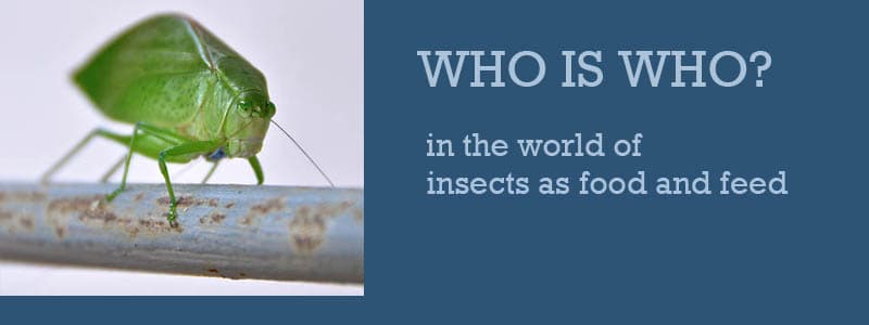 The Contribution of Insects to Food Security, Livelihoods and the Environment