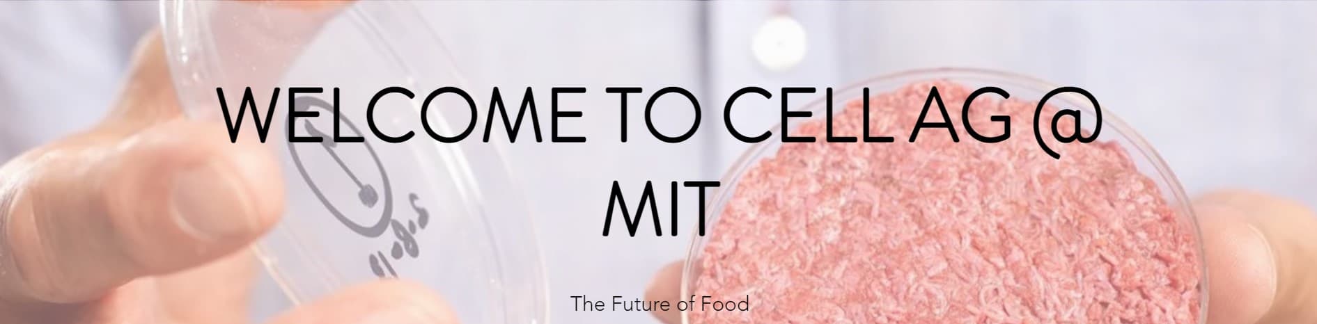 Natalie Rubio: Cell Ag @ MIT Boston-Area Seminar Series