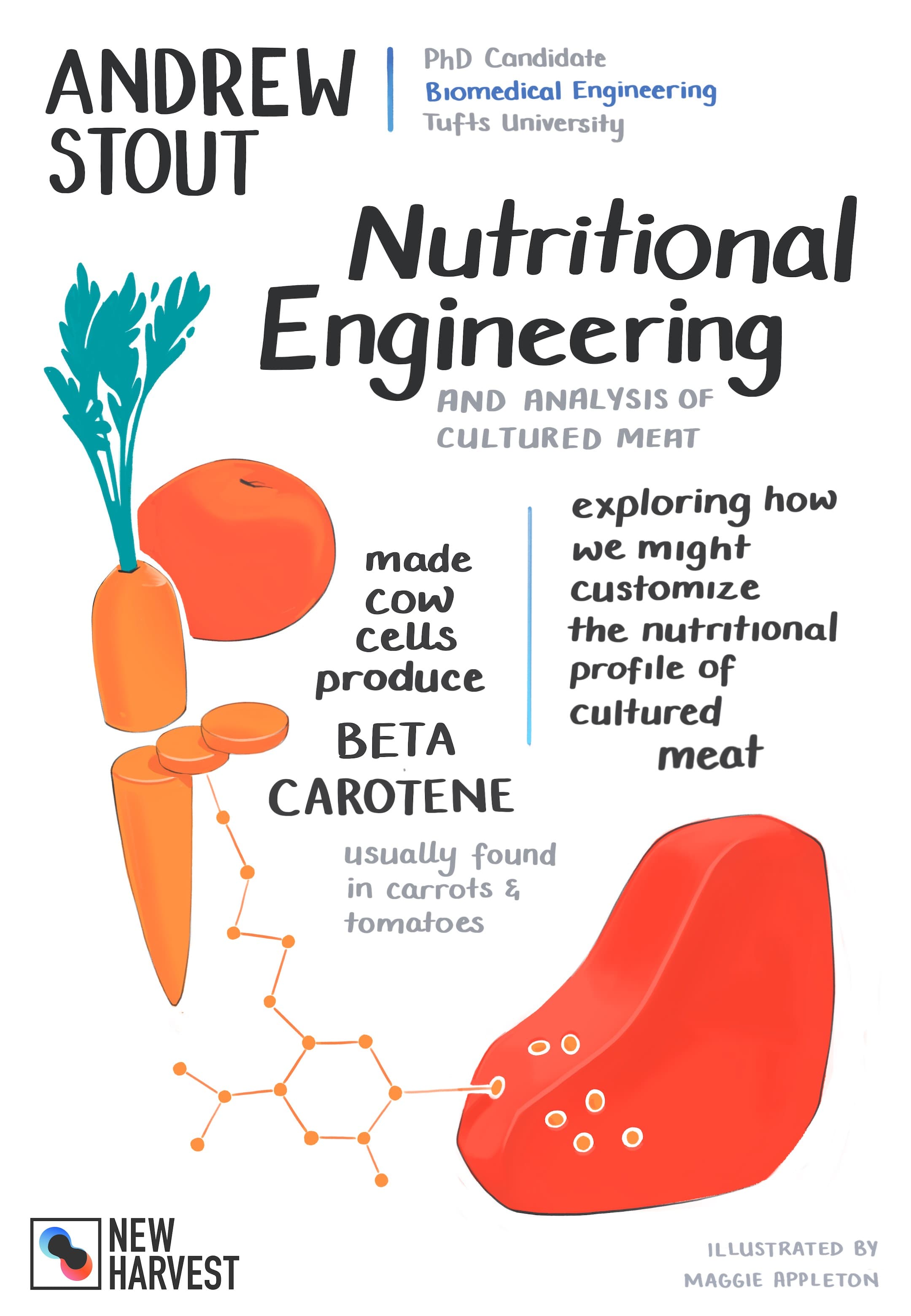 Illustration by <a href="https://maggieappleton.com/" target="_blank">Maggie Appleton</a>