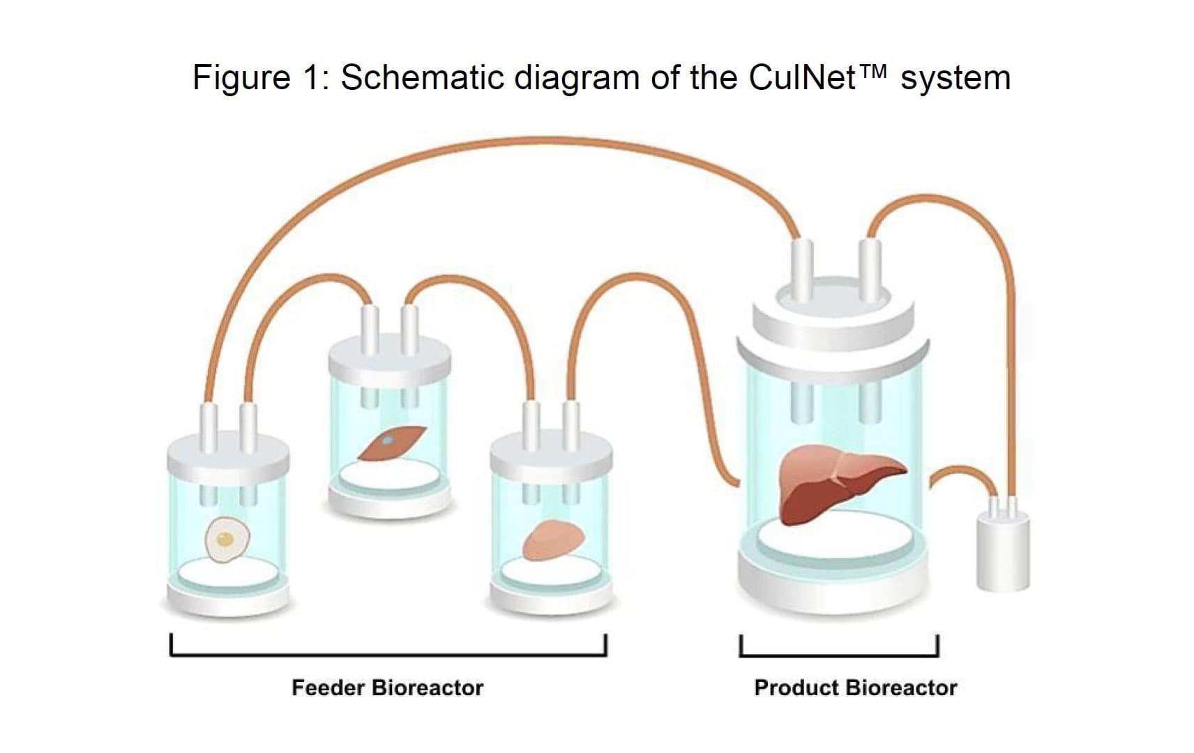 Figure 1: Schematic diagram of the CulNet™ system