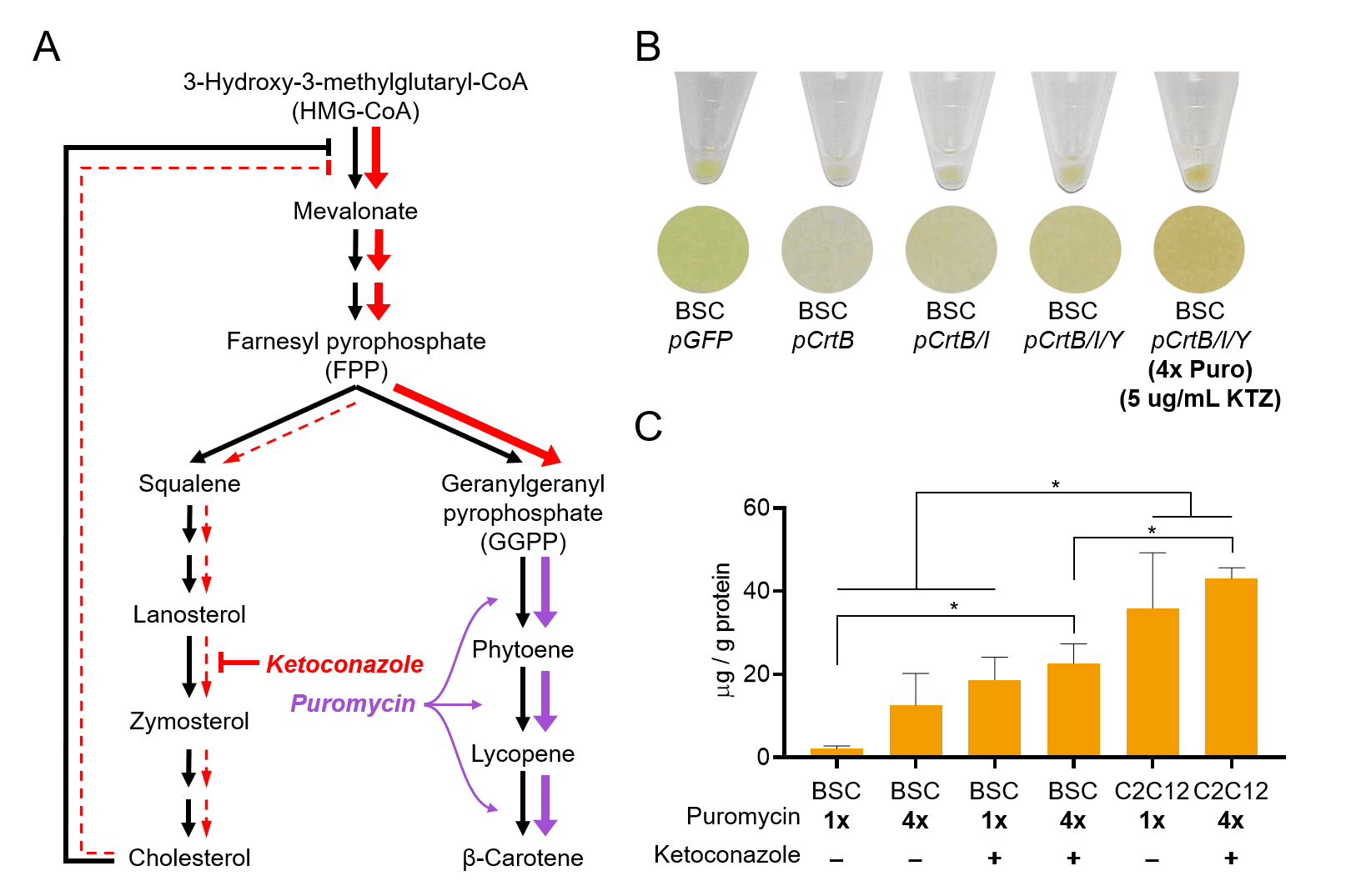 Figure 5 (carotenoid optimization) from Andrew's paper, which can be found <a href="https://doi.org/10.1016/j.ymben.2020.07.011" target="_blank">here</a>