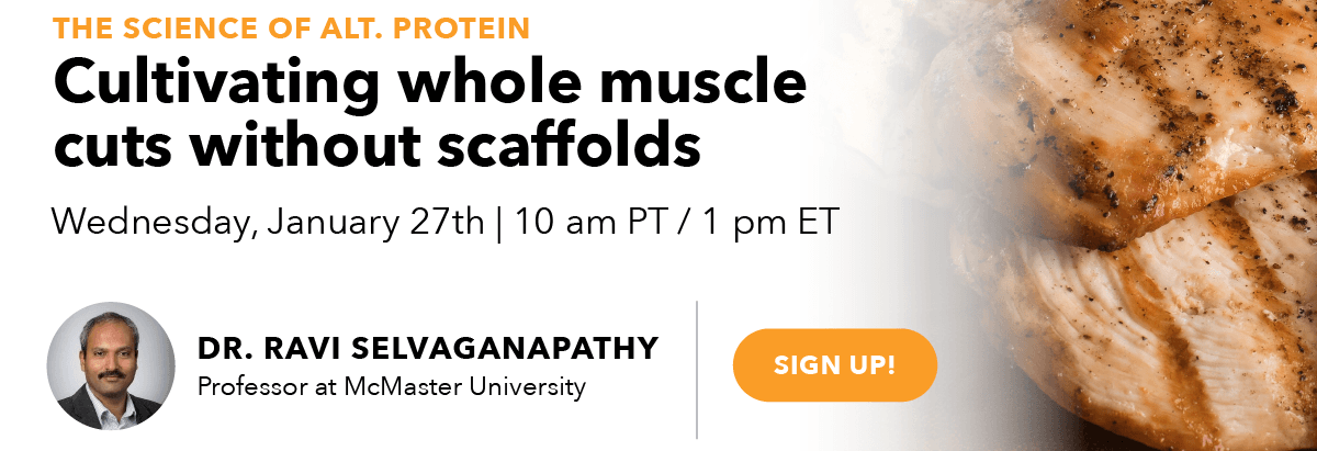 The Science of Alt. Protein: Cultivating whole muscle cuts without scaffolds