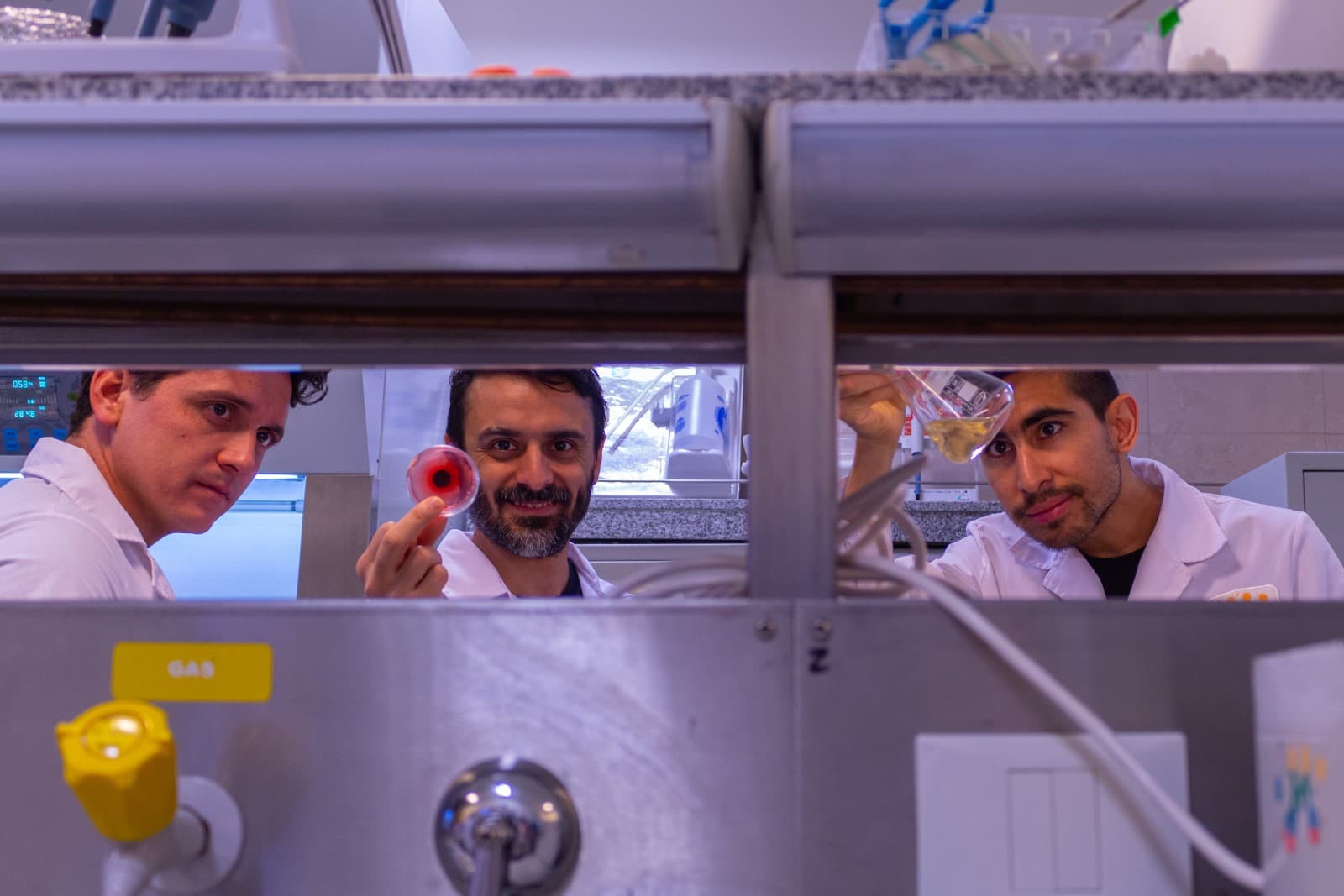 Michroma - Red and culture medium