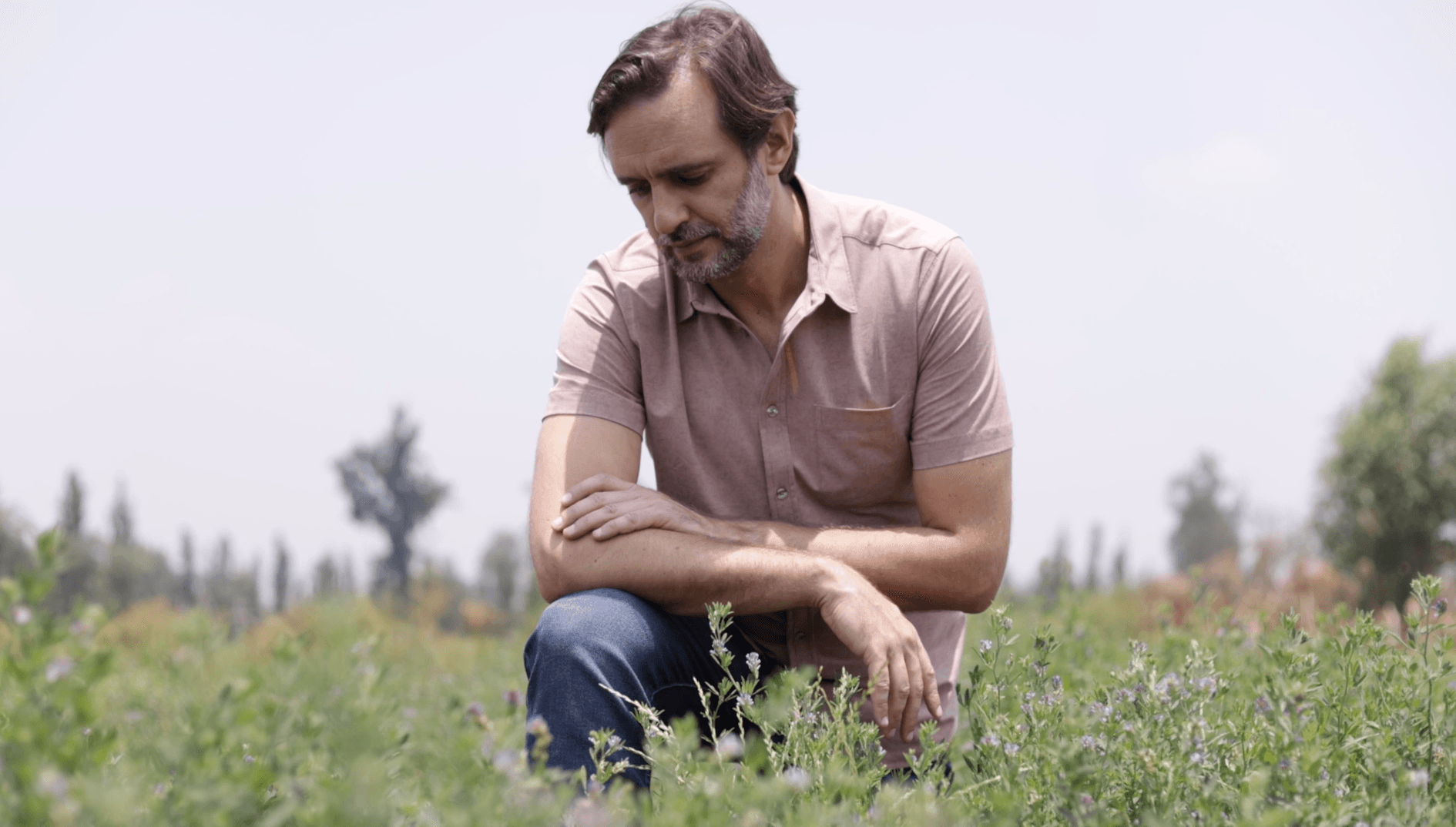 FUDI Protein opens crowdfunding round to scale alfalfa-derived RuBisCO extraction