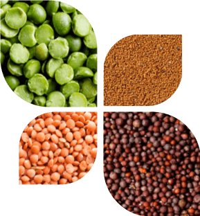 7th Annual Research Spotlight Meeting 2026