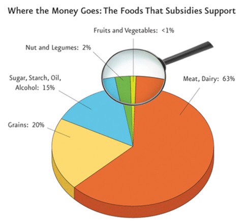 food subsidies pie chart