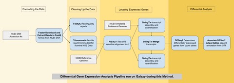 The pipeline used to conduct differential gene expression analysis