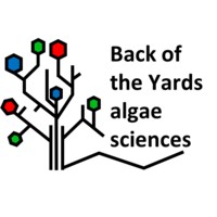 Back of the Yards Algae Sciences logo