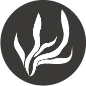 Cavi-art logo