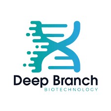 Deep Branch logo