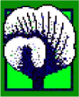 LS Natural Foods logo