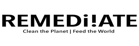 Remediiate logo