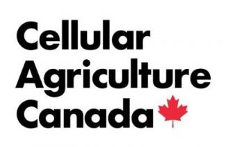 Cellular Agriculture and the Canadian Regulatory Framework