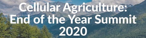 Cellular Agriculture: End of the Year Summit