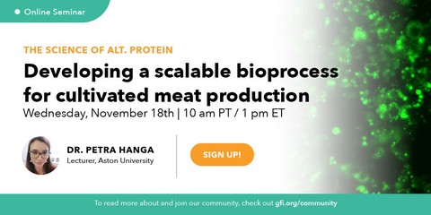 Developing a bioprocess for the scalable production of cultivated meat