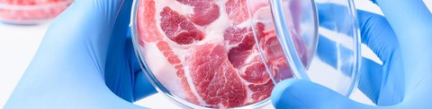 Growing Real Beef Without the Moo: The Future of the Cultured Meat Industry