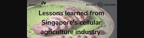 Lessons learned from Singapore's cellular agriculture industry