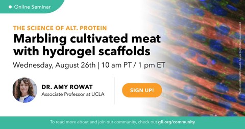 Marbling cultivated meat with hydrogel scaffolds with Dr. Amy Rowat