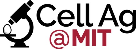 Natalie Rubio: Cell Ag @ MIT Boston-Area Seminar Series logo