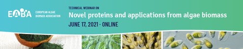 Novel proteins and applications from algae biomass