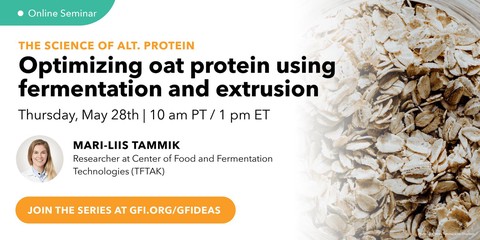 Optimizing oat protein using fermentation and extrusion