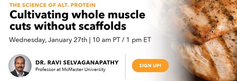 The Science of Alt. Protein: Cultivating whole muscle cuts without scaffolds