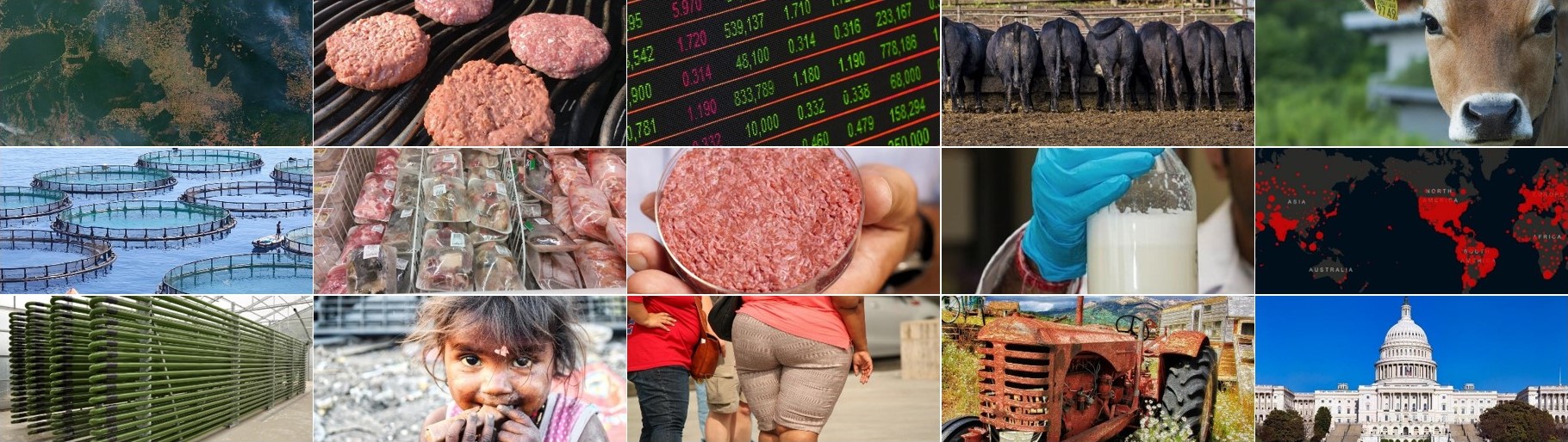 Student Essay Contest 2021