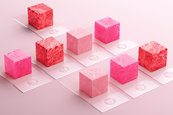 Clean Meat – the food of the future?