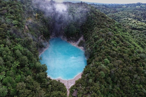 New Zealand Startup Discovers High-Protein Microalgae Strains Suitable for Asia Pacific Nutritional Needs