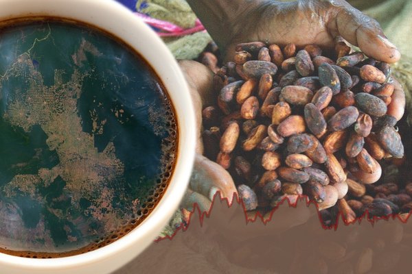 Betting on the Next Harvest: Why Agtech’s Moment May Finally Have Arrived
