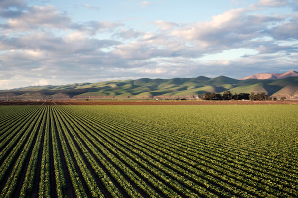 Five Startups Set to Transform Agrifood Innovation Across Spain and Latin America
