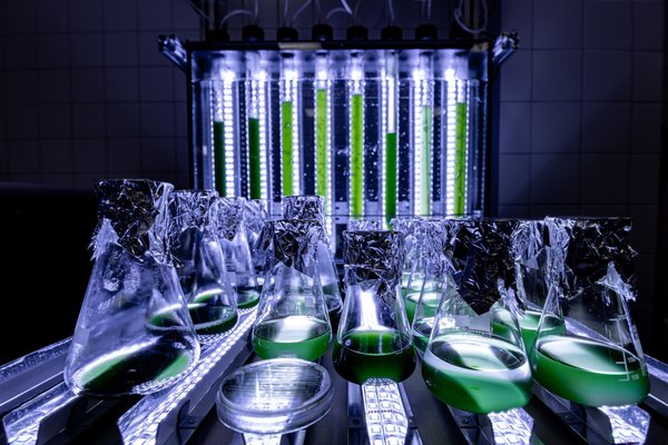 Mewery Strengthens Global Ambitions, Secures €3 Million for Development Toward Industrial Testing