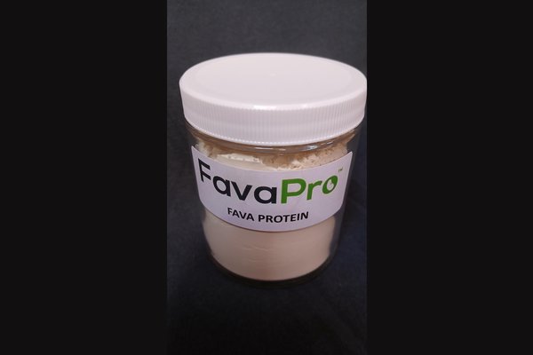 Burcon Achieves First Commercial Production of Fava Protein and Officially Launches FavaPro 90%+ Pure Plant Protein