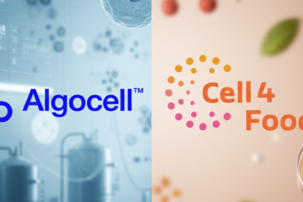 Cell4Food Partners With Algocell to Build Foundation for Scalable Cellular Aquaculture
