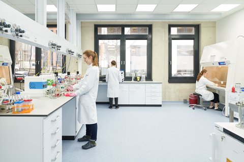 BLUU Seafood opens new headquarters in Hamburg with Europe’s first pilot plant for cultivated fish, prepares for market entry
