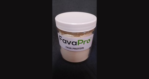FavaPro fava bean high-purity plant protein is 90%+ pure protein and offers neutral taste and odor, and smooth mouthfeel with no need for masking agents in the beverage or food.