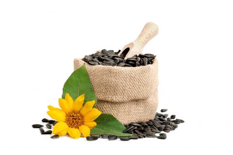 Burcon Pea and Sunflower Proteins Outperform in Plant-based Cheese Study