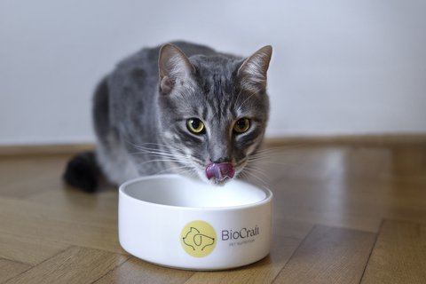 Carbon Footprint Analysis Finds BioCraft Pet Nutrition Ingredients Produce Fraction of Emissions of Conventional Beef Byproducts