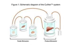 Figure 1: Schematic diagram of the CulNet™ system
