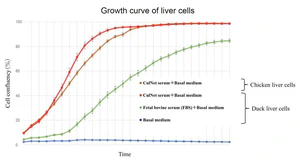 Growth curve of liver cells