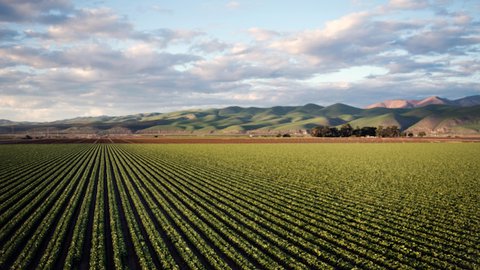Five Startups Set to Transform Agrifood Innovation Across Spain and Latin America