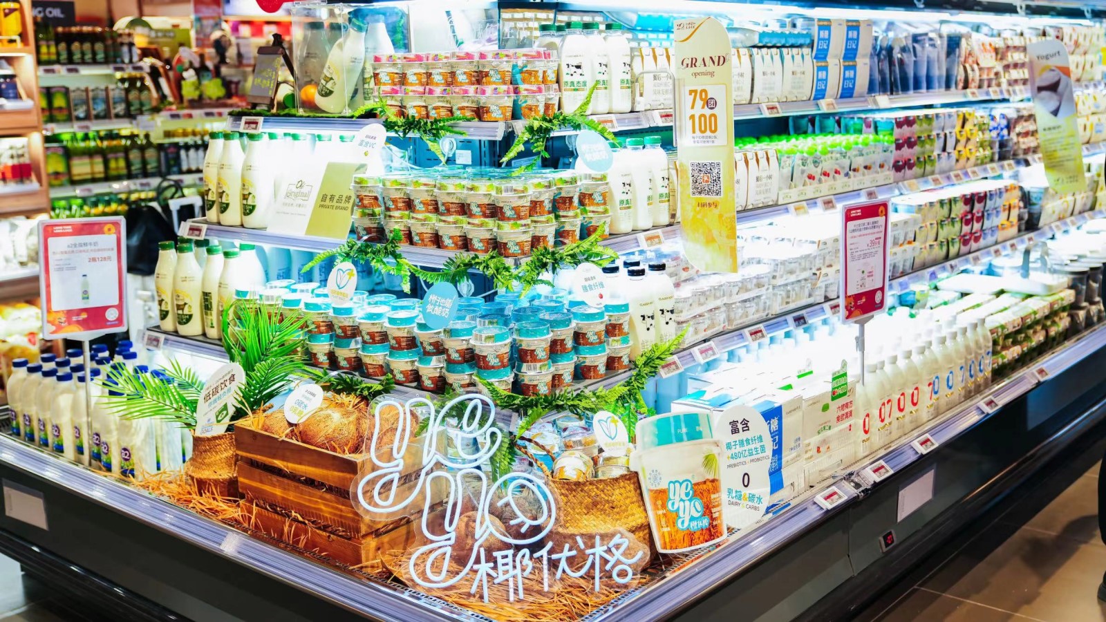 Marvelous Foods launches Yeyo plant based coconut yogurt in China s biggest premium supermarket chain Ole Protein Report