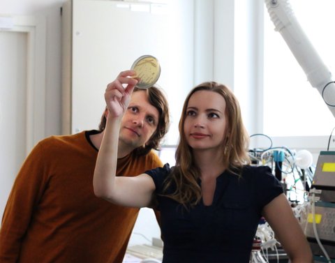Melt&Marble advances in the production of fermentation-derived animal fats – and secures a €5M round