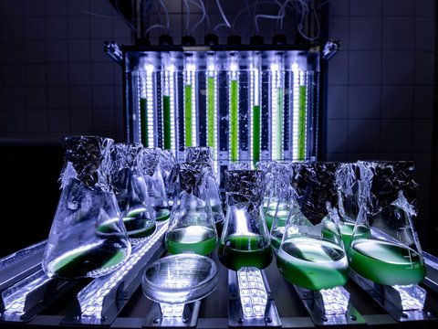 Mewery Strengthens Global Ambitions, Secures €3 Million for Development Toward Industrial Testing