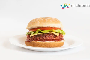 Michroma - Hamburger