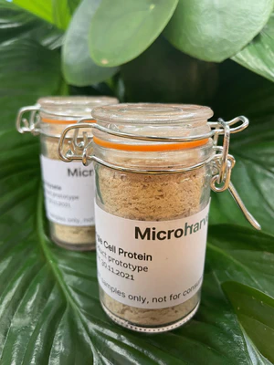 MicroHarvest protein ingredient