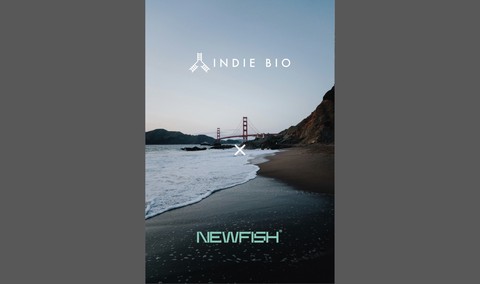 NewFish enters IndieBio Batch 15 and receives funding from SOSV, sets up HQ office and labs in San Francisco