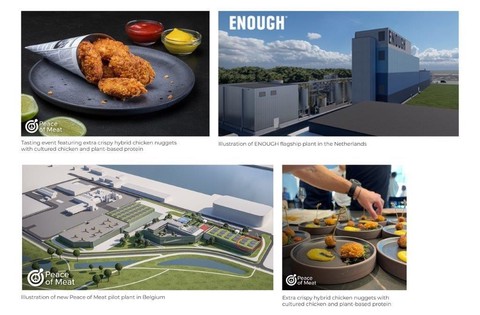 Peace of Meat, MeaTech’s Wholly Owned Belgian Cultured Avian Subsidiary Signs Strategic Agreement with ENOUGH, a Leader in the Field of Mycoprotein, to Accelerate Commercialization
