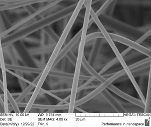 Gelatex halospun nanofiber scaffold SEM image 2 (by Gelatex)